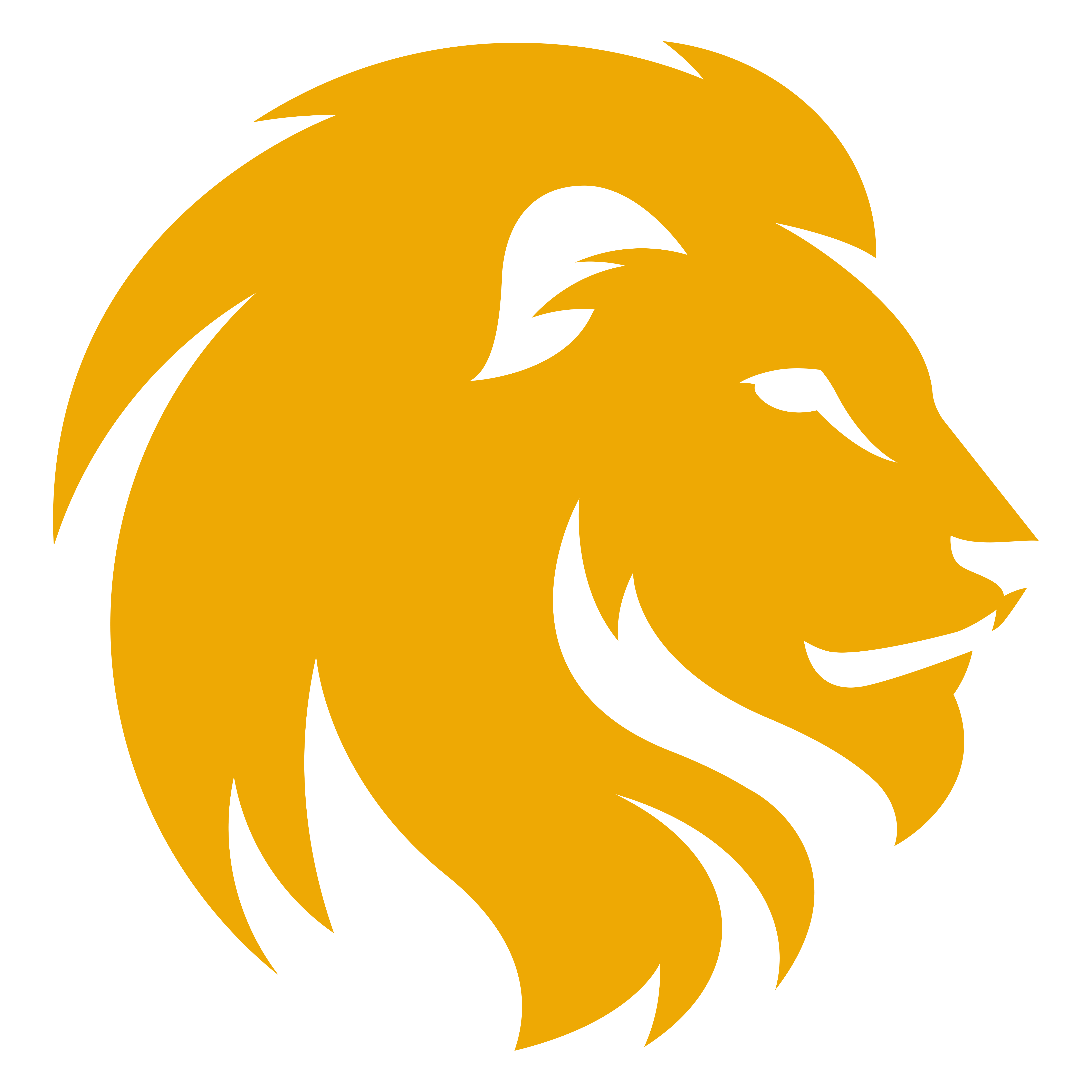 Lion Dev Logo